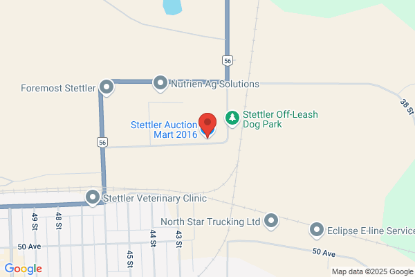 Stema M. Stettler