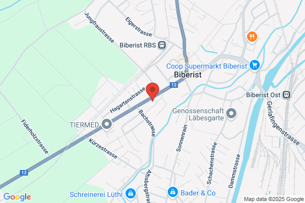 Lisser und Partner Treuhand AG