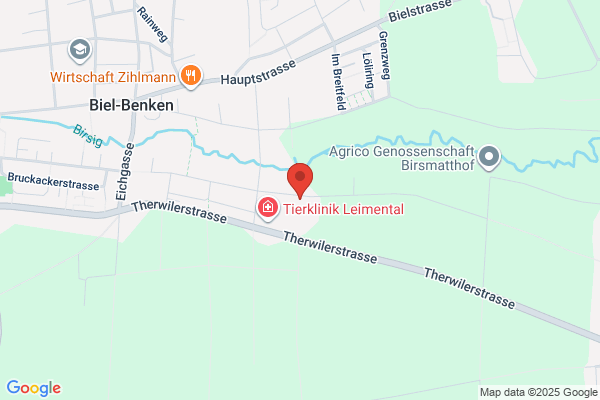 Katzenbetreuungsdienst Basel-Regio