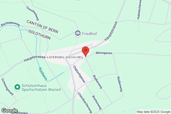 TE Buechibärger Gipser GmbH
