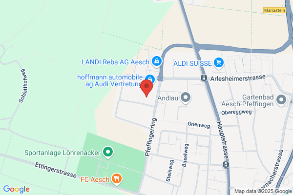 ICN Pharmaceuticals Switzerland AG