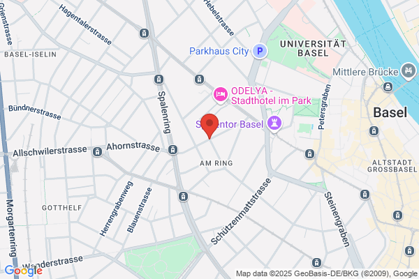 Amedis Holding AG
