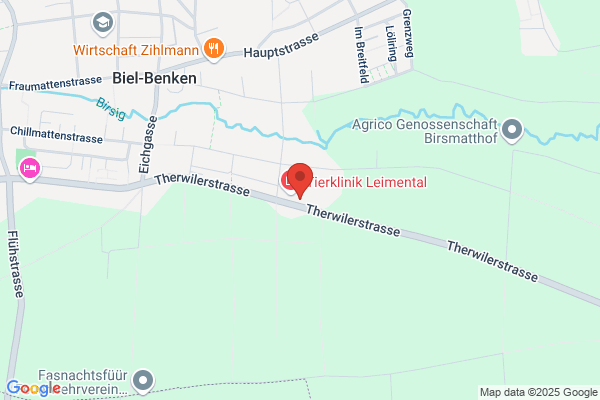 Th. Heinis AG