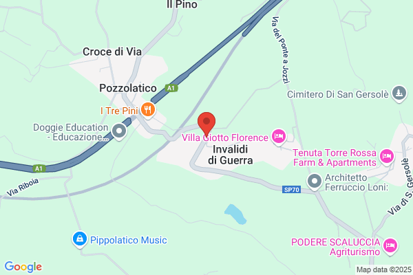 Gesso e intonaci di Federico