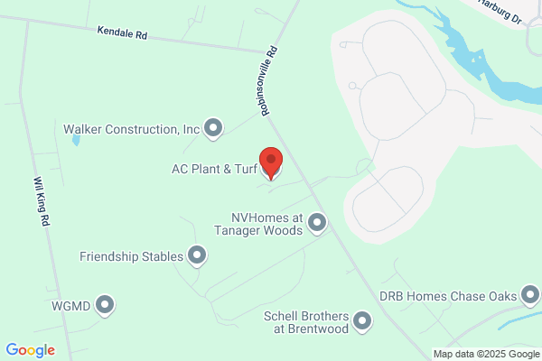Arbor Consulting LLC, Lewes (Delaware), Lugano branch