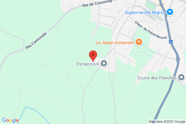Muster Travaux Etanchéités