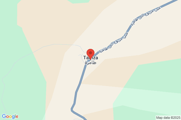 TAMZA