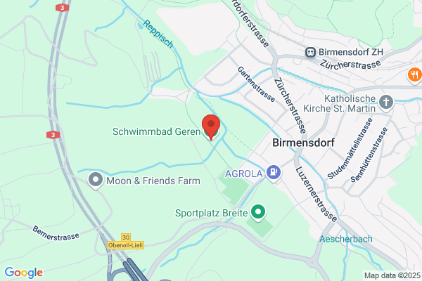 GpSM Schweiz
