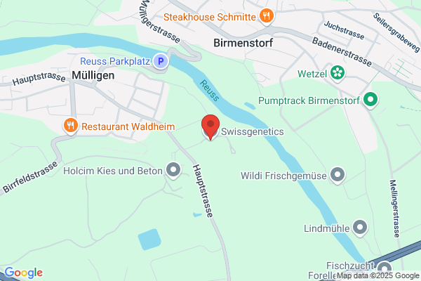 Swissgenetics