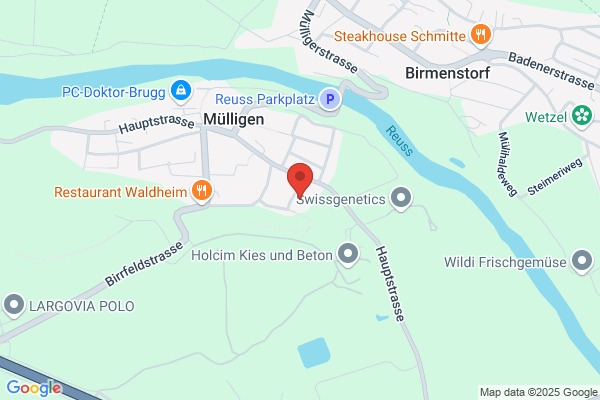 Autospritzwerk Bisacca GmbH