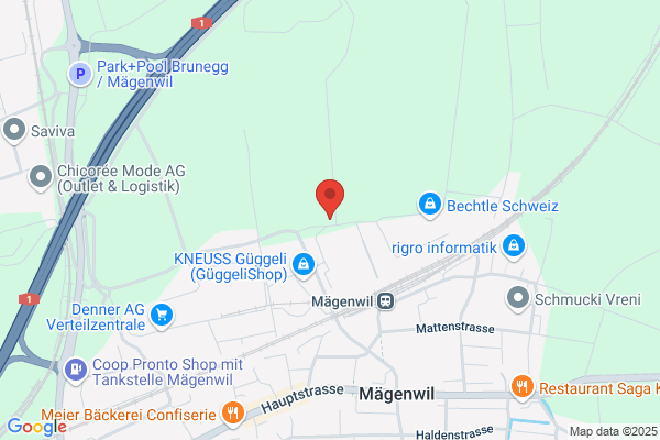 Gärtnerei und Baumschule - Borner Pflanzen