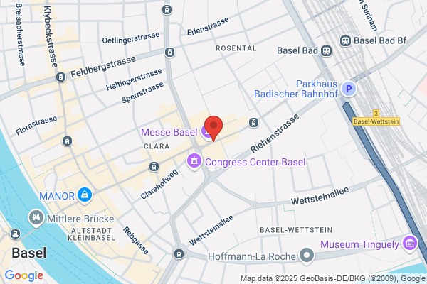 BASEL TRANSLATION TEAM Breyer und Co.