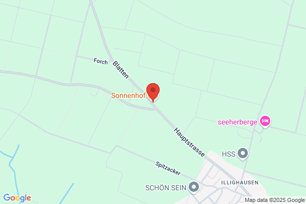 Restaurant Schwizerland
