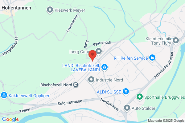 Friederich AG