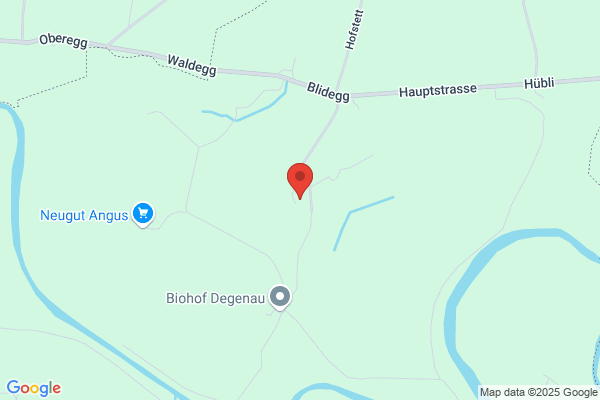 Schloss Blidegg