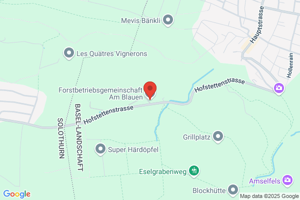 Schmidlin Forst GmbH
