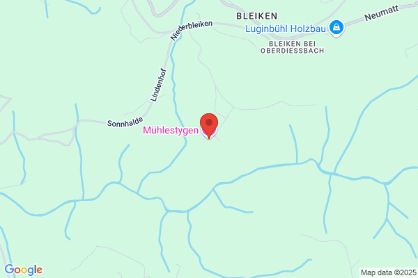Hanspeter Muehlethaler