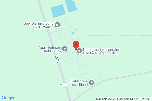 Hedinger Feuerungskontrolle
