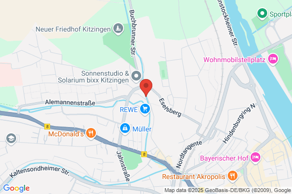 Electro-Hoefler