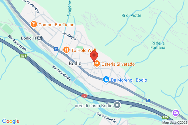 Fulvio Giudici SA