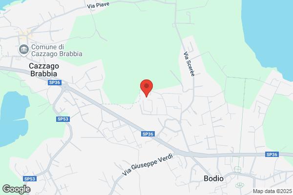 Veicoli Service M.T.