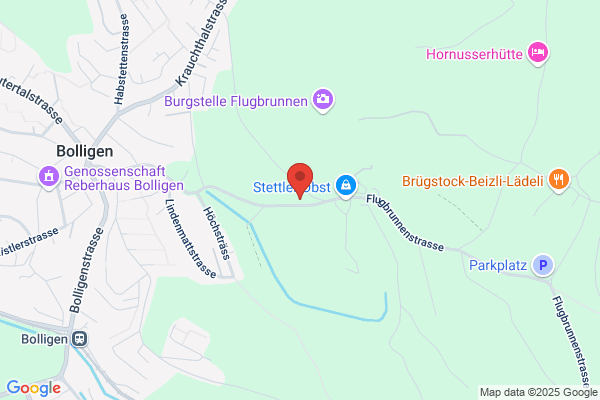 Blumen Bergmann