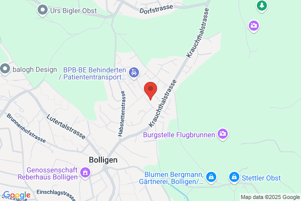 Ibf-Institut f. Betriebsinformatik