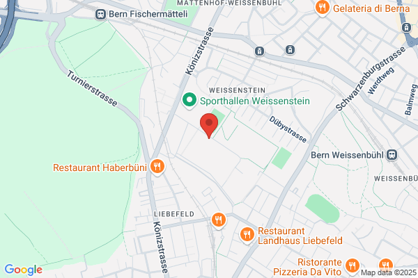 WebDev GmbH