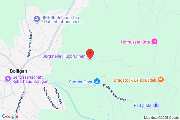 Burger Ingenieur-Buero
