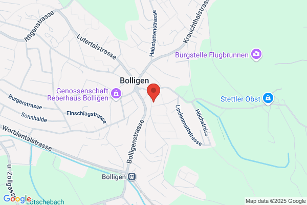 Sozial- u. Beratungsdienst T. Haefliger