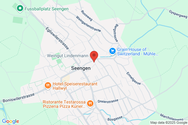 E. Luescher Industrieanlagen AG