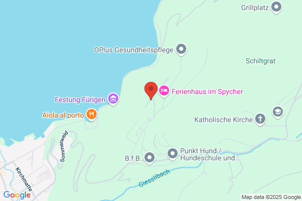 Baumberger Consulting GmbH