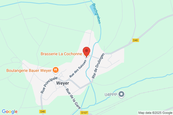 Brasserie Artisanale de la Côte