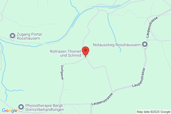 Rollrasen Thomet und Schmid