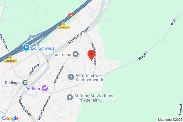 Sternhaus Duedingen AG