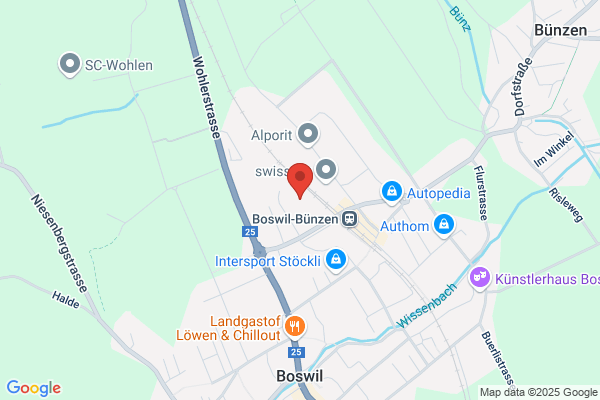 Eilsabeth Morf Immobilien