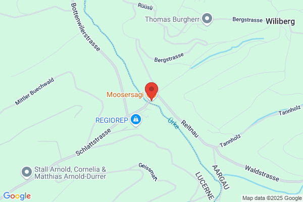 Moosersagi