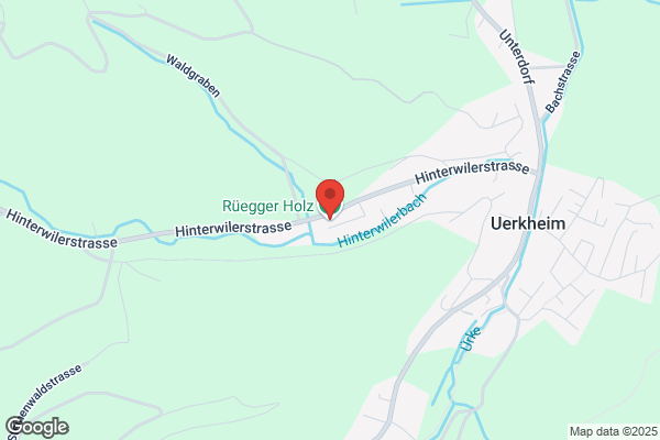 Rueegger Holz