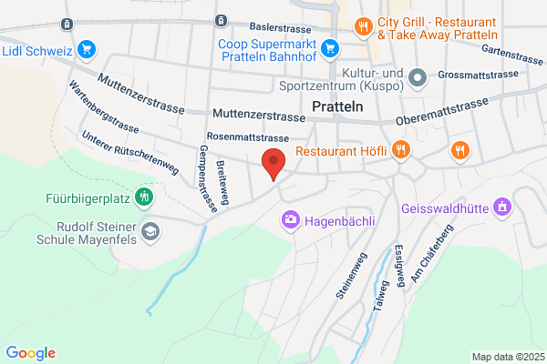 WPMS AG