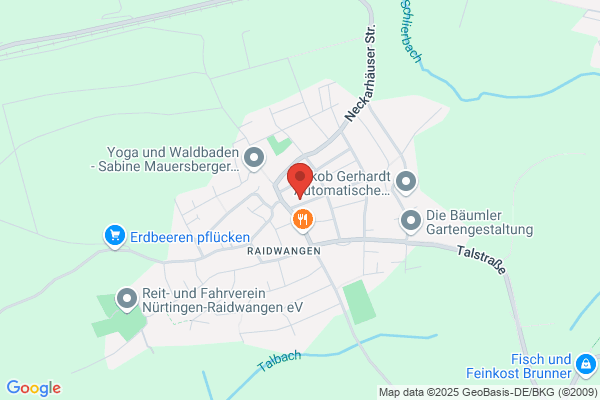 henzler informatik gmbh