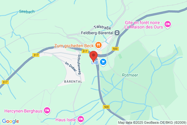 Rest. zum neuen Feldberg