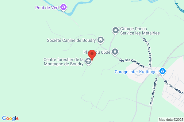 Service forestier