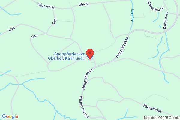 Sportpferde vom Oberhof