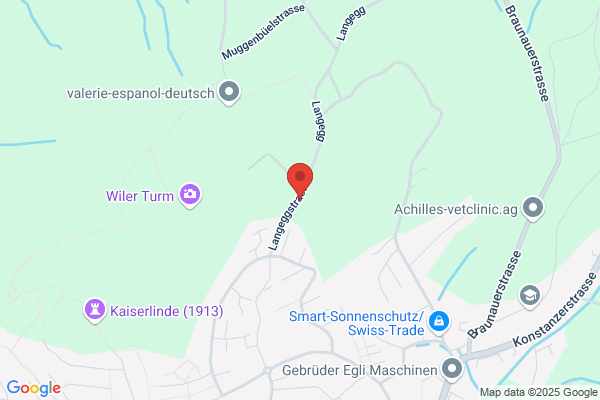 Treppenbau Langegg