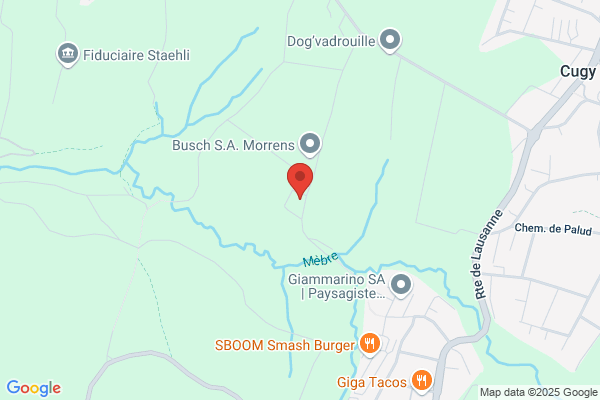 Eclat Vert