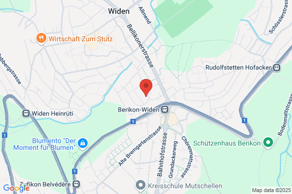 Verkehrsdienst Naegeli