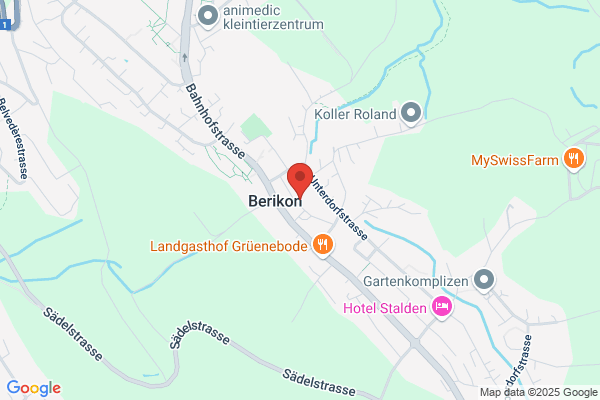 Kindergarten Buerkihof