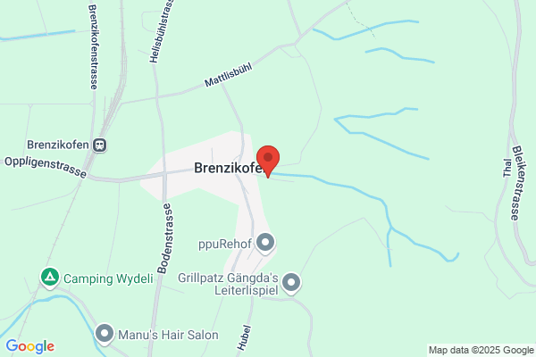 Briconsult