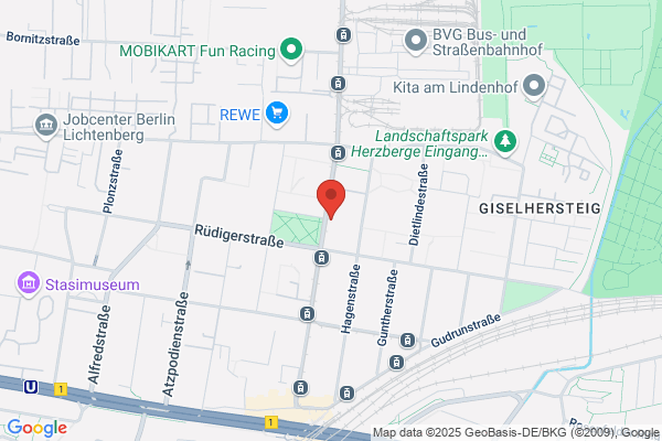 i-plex GmbH