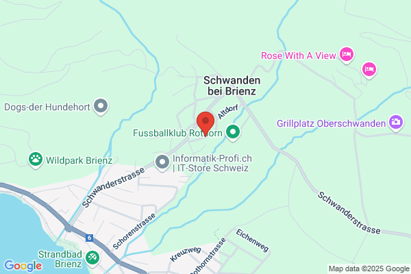 Hans von Allmen Schwanden b. Brienz